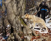 19 ...odore di muschio su faggio